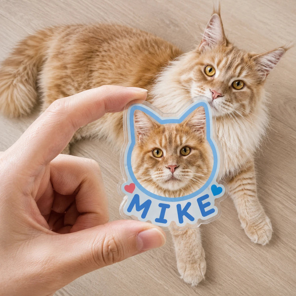 custom cat magnet, personalized pet fridge sticker, Maine Coon photo magnet, high definition cat magnet, epoxy coated pet magnet, pet lover gift, custom pet accessory
