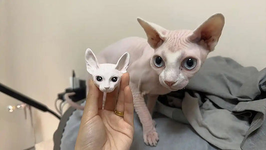 custom cat sculpture, personalized pet figurine, pet memorial gift, custom pet gift idea, cat lover gift, pet portrait sculpture, sphynx cat figurine, handmade pet art