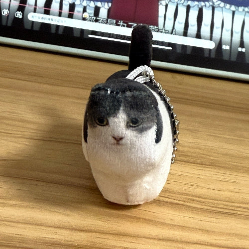 Block Cats and Dogs - Custom Pet Gift Handmade from Your Photo | TaoPaws