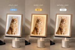 Custom Light-Up Framed Art