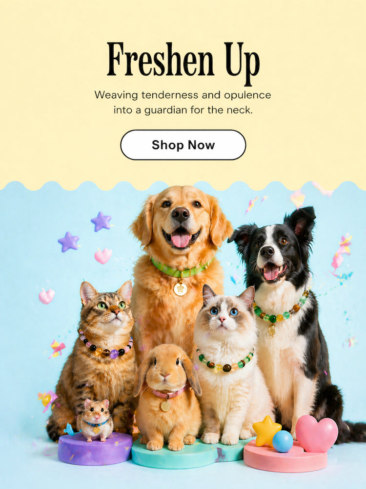 Custom pet jewelry collection featuring stylish collars and accessories for dogs, cats, rabbits, and small pets.