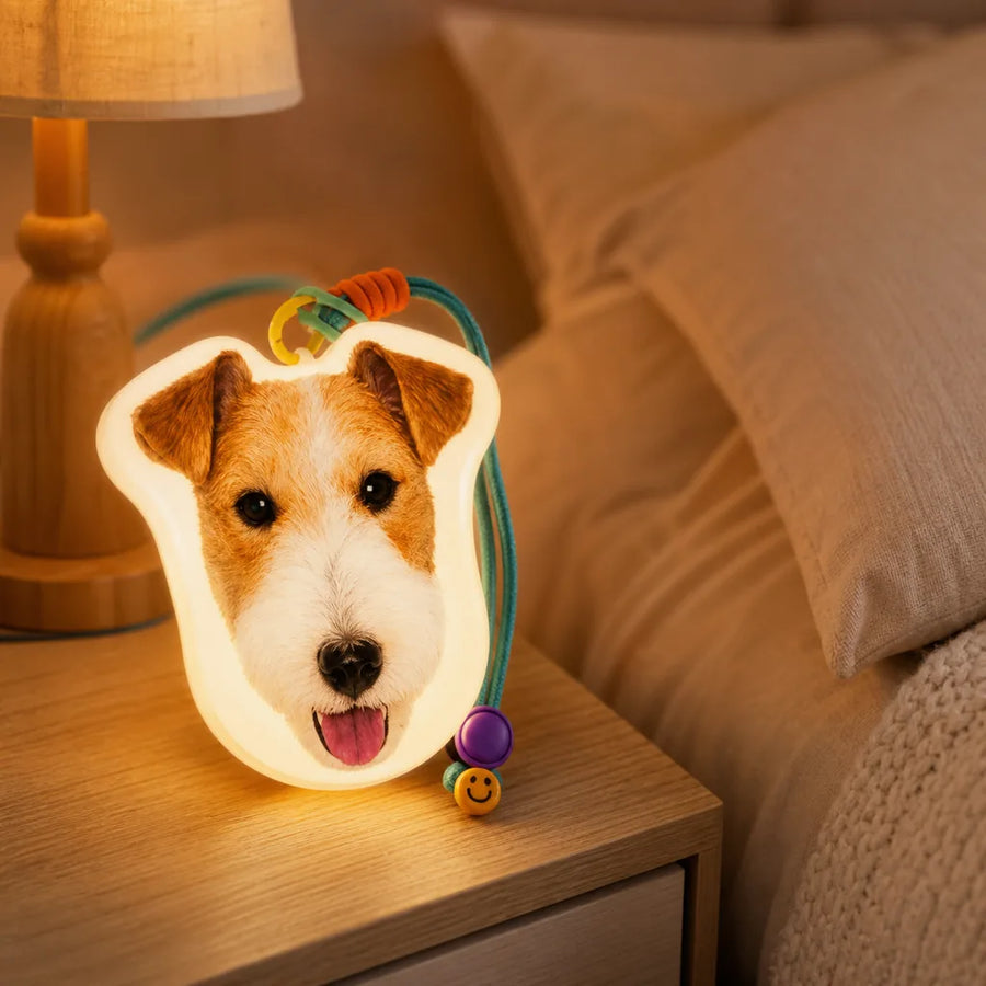 Custom Pet Night Light from Photo