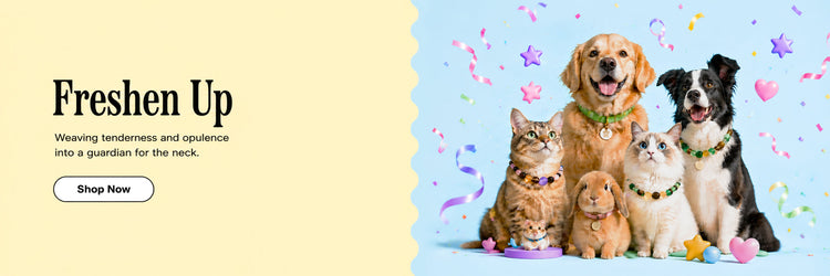 Custom pet jewelry and stylish collars for dogs and cats, featuring personalized accessories for fashionable pets.