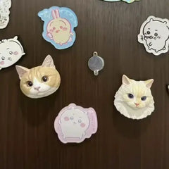 Custom Pet Plaster Fridge Magnets – Turn Love Into Something You Can Hold